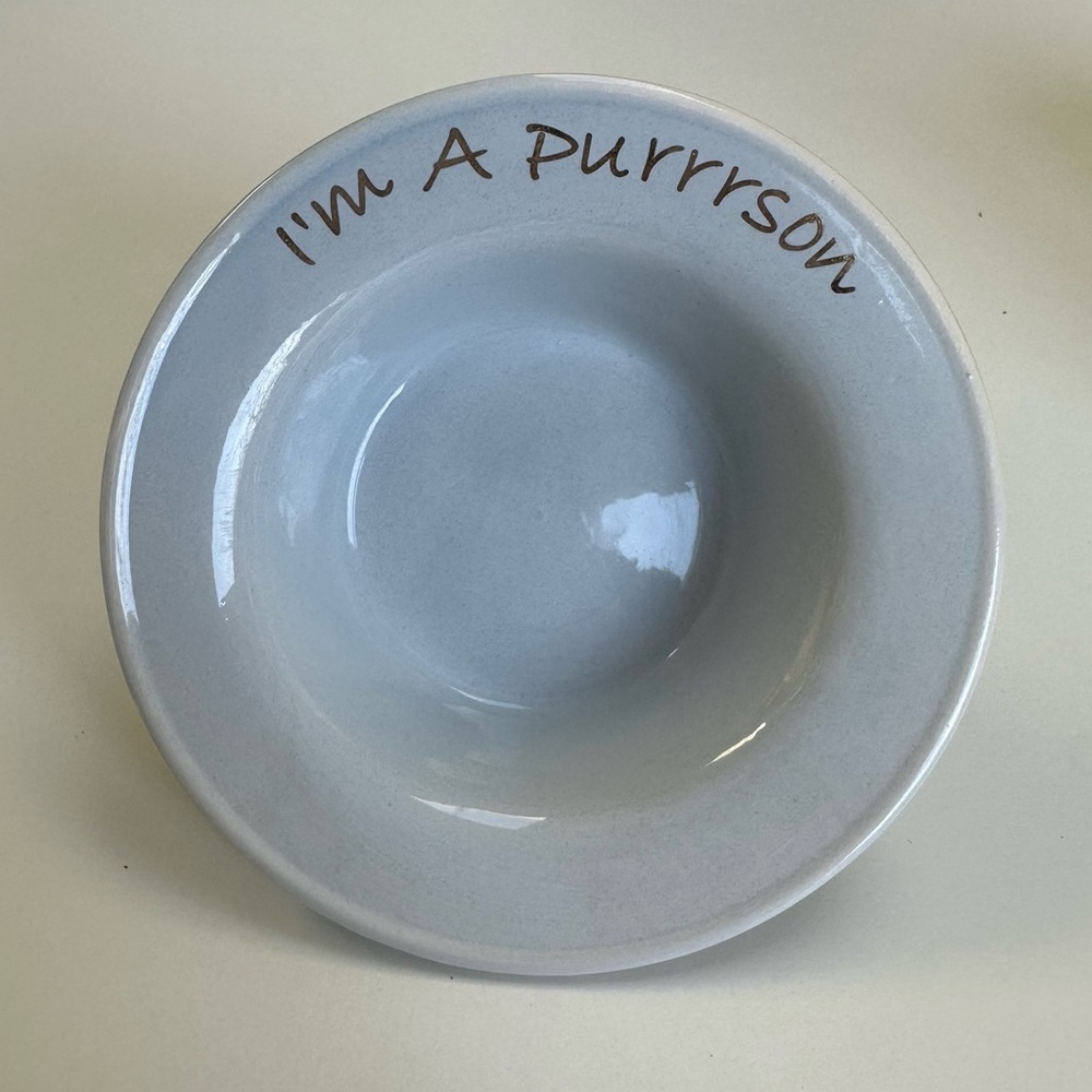 ceramic cat bowl